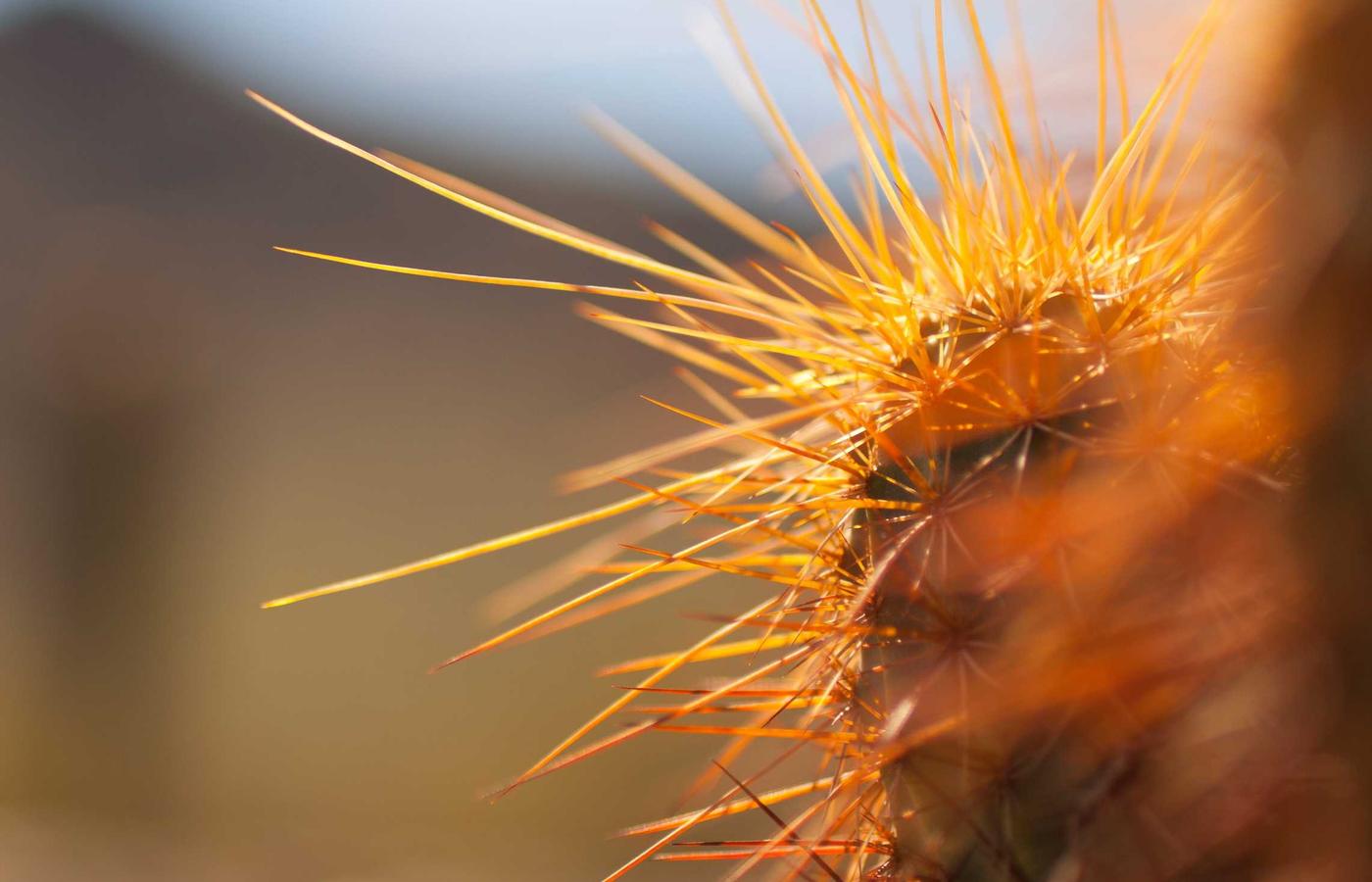 Technician working on a complex electronics board with microchips.