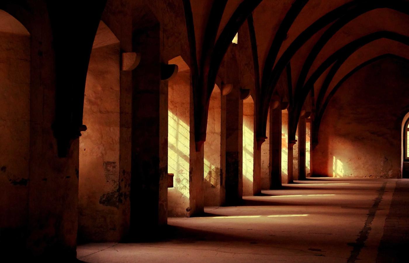 A person looking at a detailed star map on a large screen.